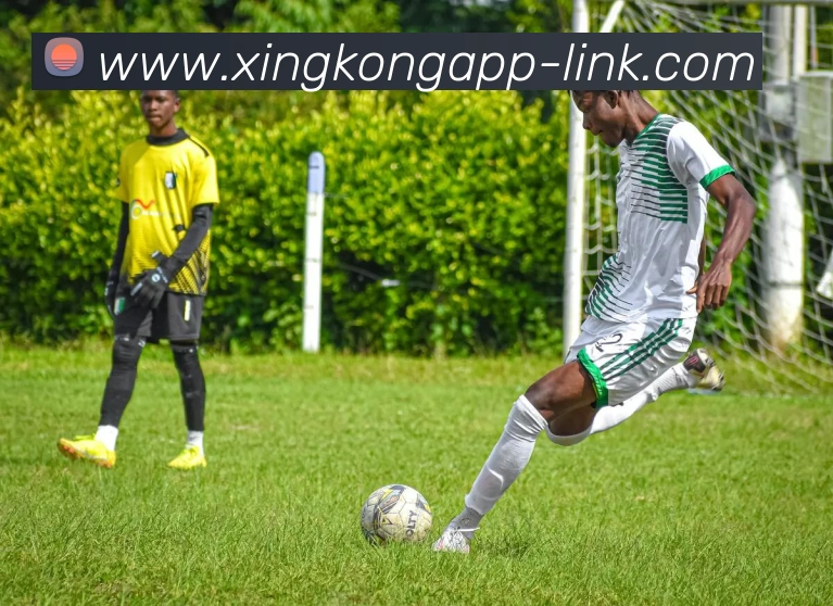 星空体育app官网 | 专注足球、篮球及电竞赛事深度报道门户平台生态图